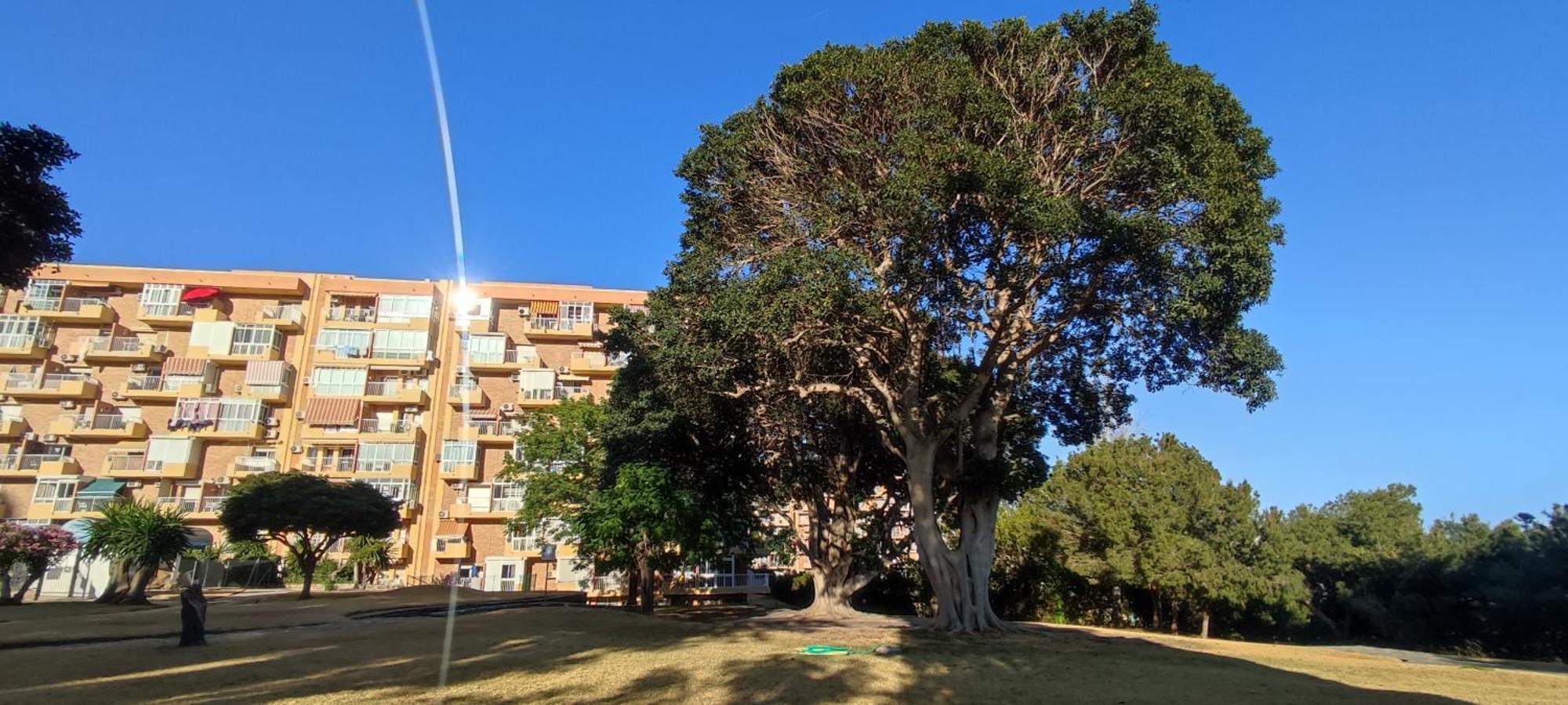 Apartamento Aguila, Arroyo De La Miel, 베날마데나코스타 외부 사진